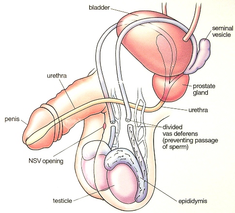 Websites like youporn spank